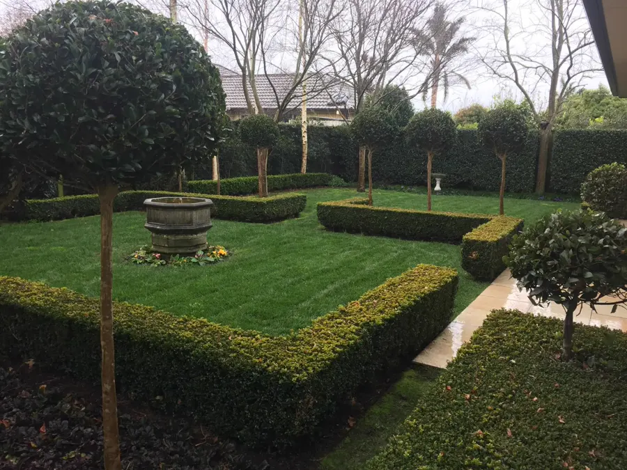 Hedge Trimming